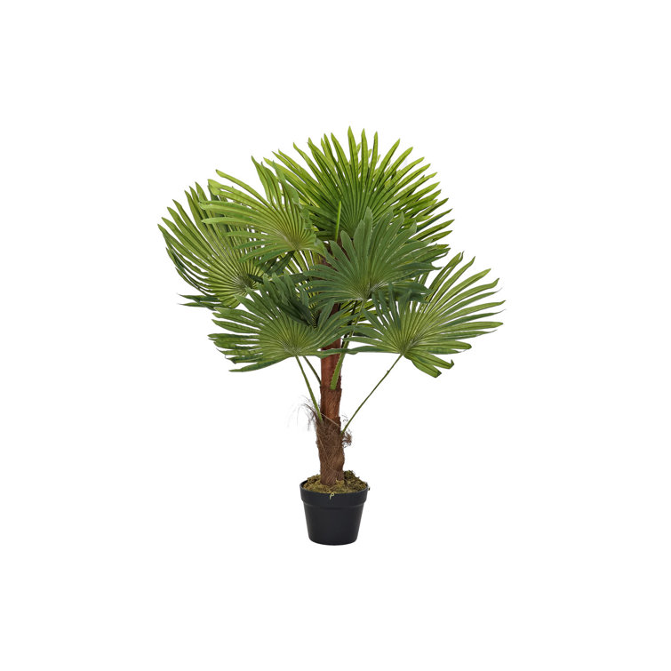 The Seasonal Aisle 90Cm Artificial Palm Tree in Pot Wayfair.co.uk